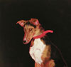 Dana Holst: Lassie 