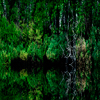 Alain Lefort: Ile 1 sud (Lac Lesage, QC) 1/10 