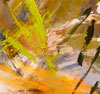 Ève Picher: image 1/4 thumb