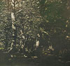 Leslie Reid: image 2/4 thumb